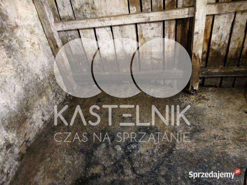 Sprzątanie zalaniach usuwanie szkód Zambrów Usługi