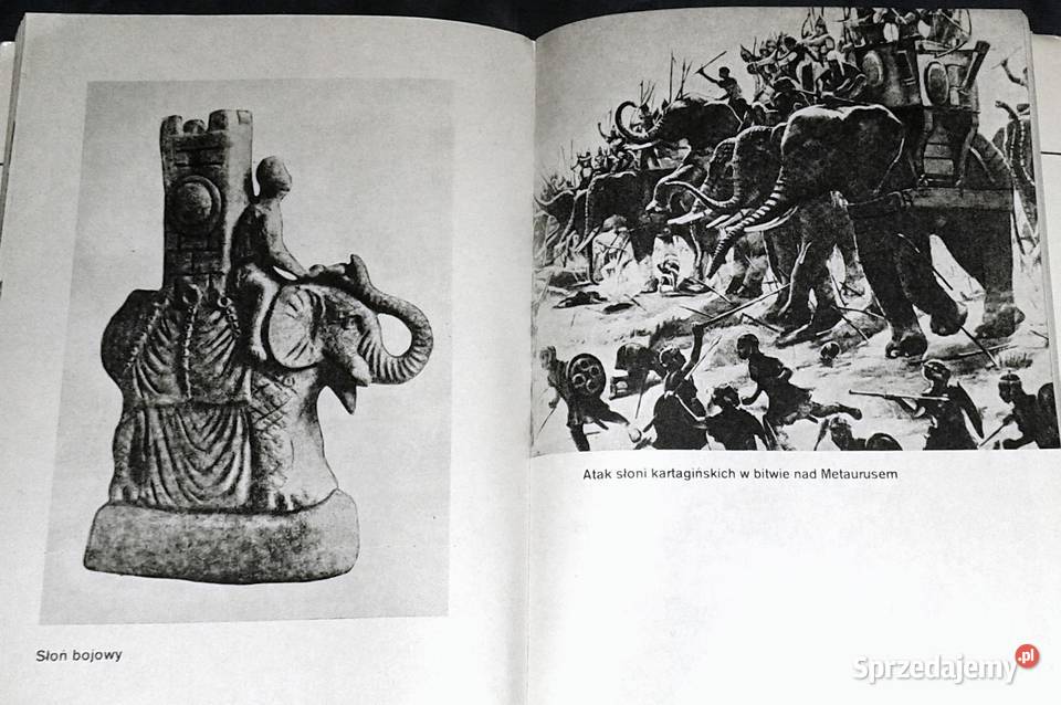 Kanny 216 pne Janusz Sikorski Pozostałe