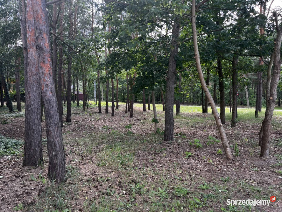 działka w Legionowie z prawem zabudowy sprzedam