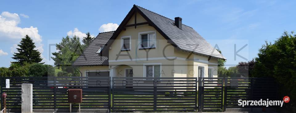 PALISADA NOWOCZESNA FURTKA kujawsko-pomorskie Toruń sprzedam