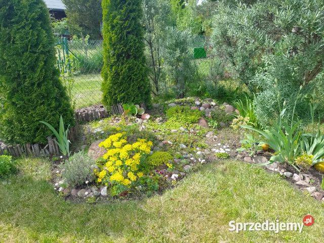 OKAZJA działka ROD Warszawa