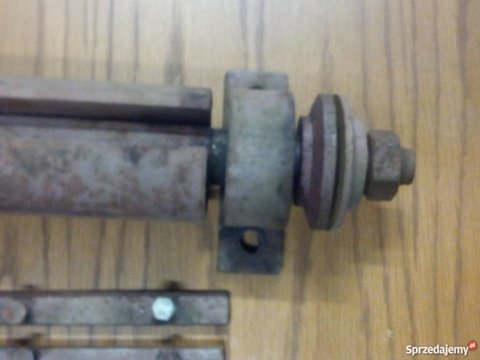 Wałek heblarka krajzega Morzyca