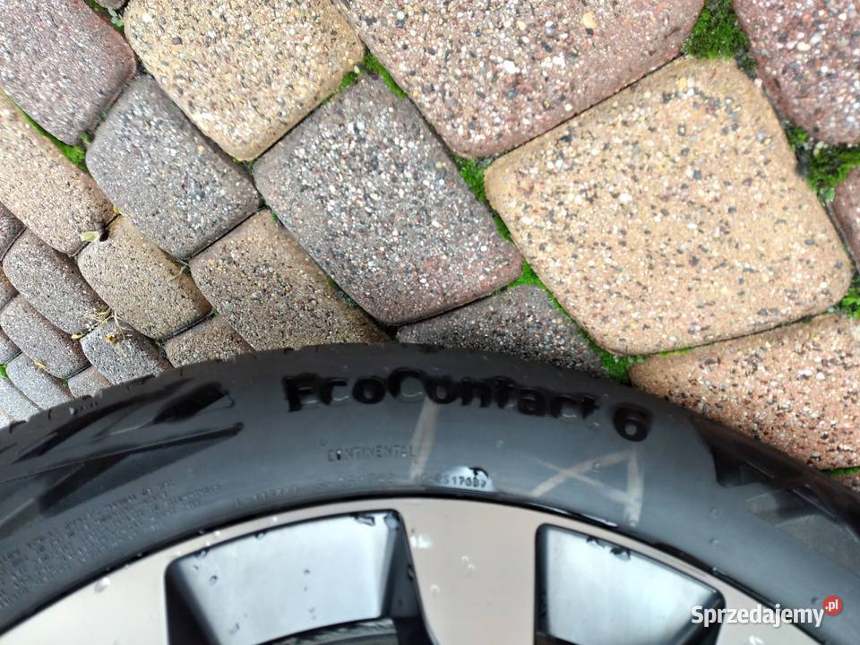 Continental EcoContact6 2055516 V XL 2020r 6mm 4 Złoczew