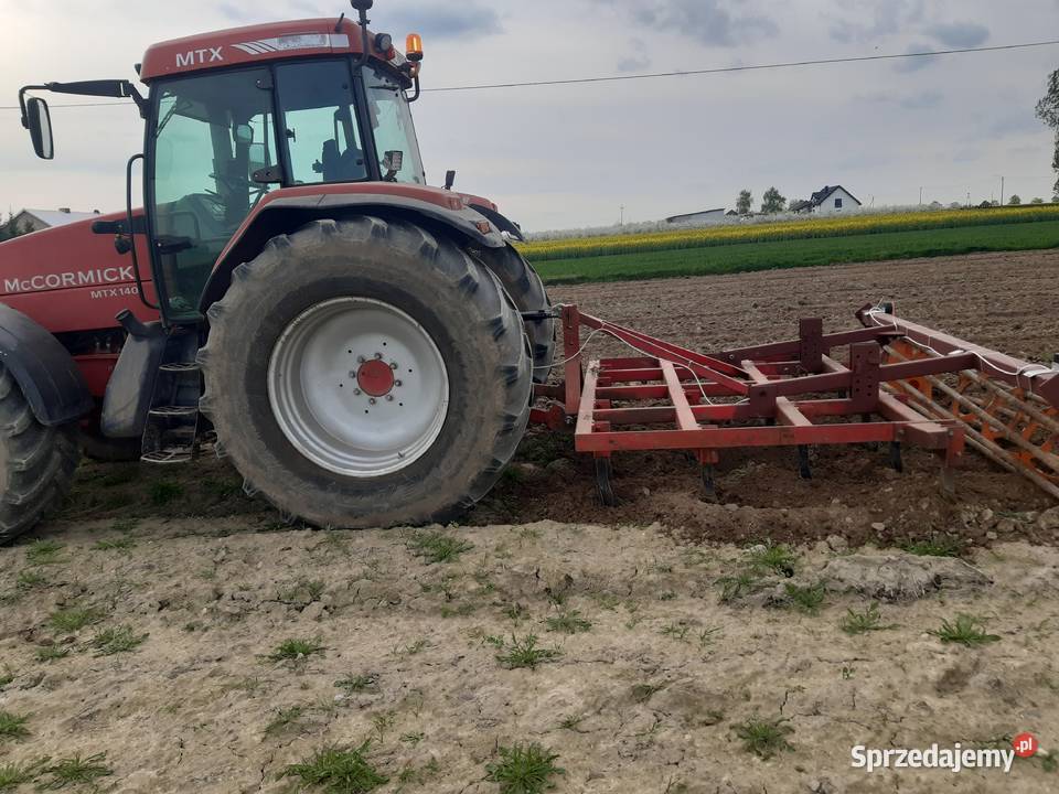 Sprzedam grubera bezorkowca wielkopolskie Dęby Szlacheckie sprzedam
