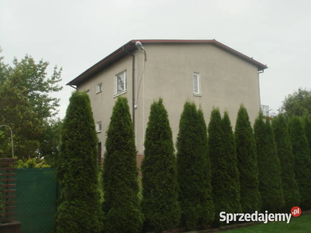 Syndyk sprzeda nieruchomość w miejscowości Wolanów sprzedam