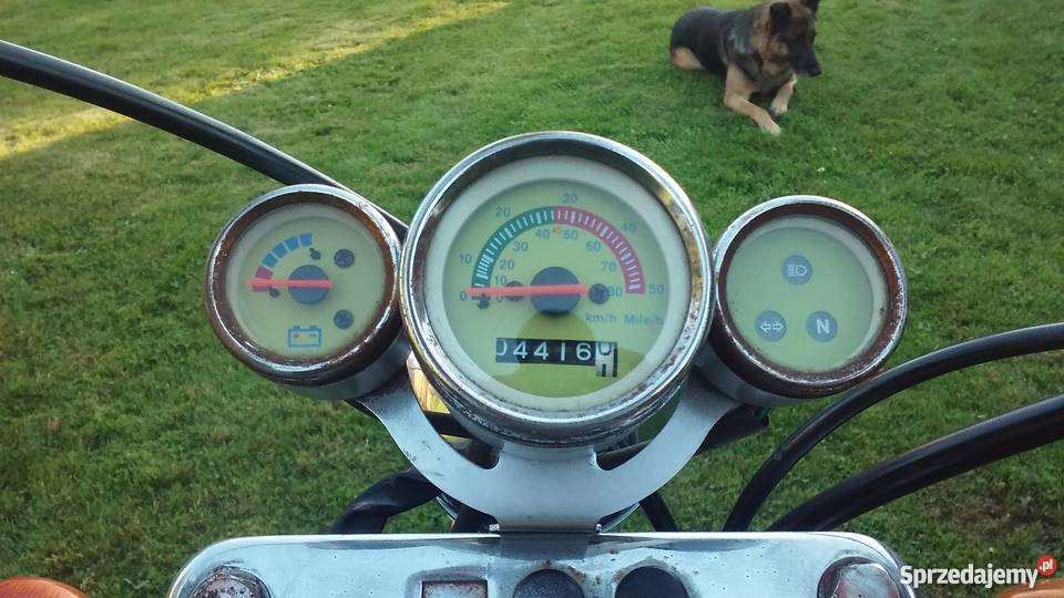 Kingway ChopperŁoś Mocny Bielsko-Biała