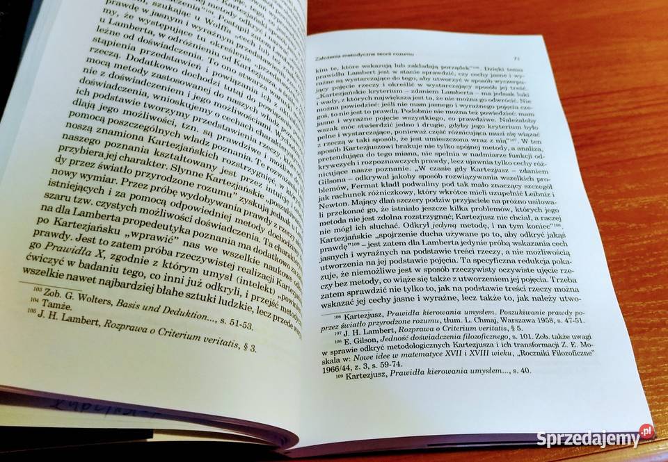 Problem Criterium veritatis w filozofii Johanna