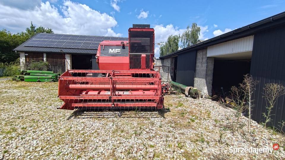 Massey Ferguson 440 3 m sieczkarnia kabina nieuszkodzony Kunów