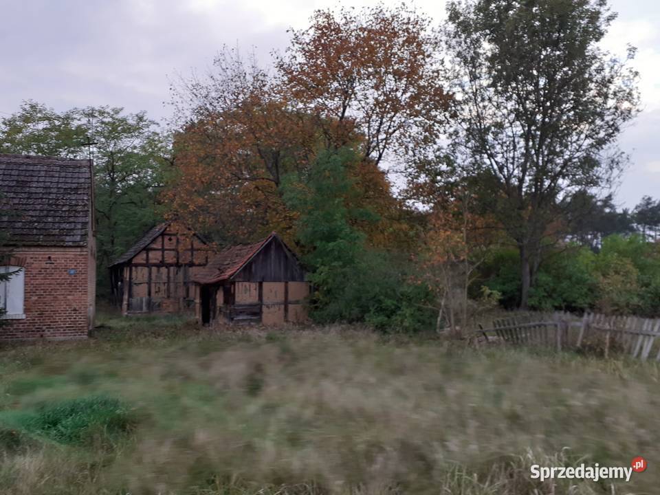 Działka zabudowana Kwiejce Nowe sprzedam