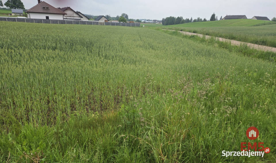 Grunt Okuniowiec 016m2 50m