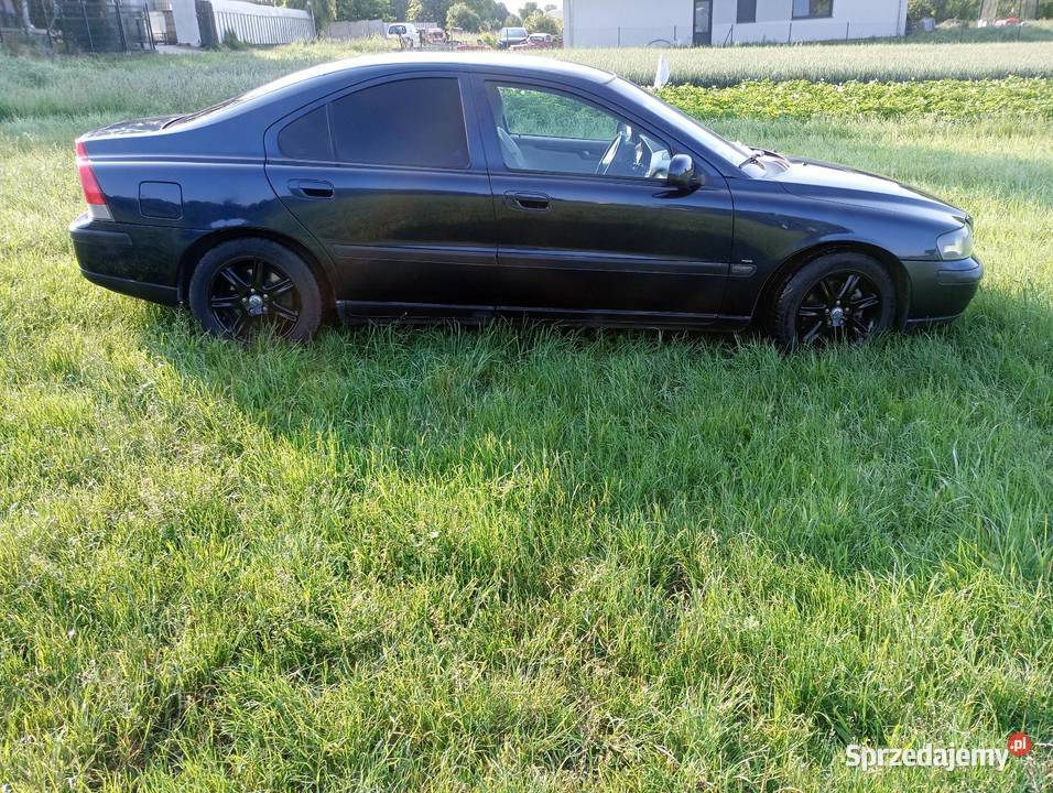 Sprzedam wielkopolskie