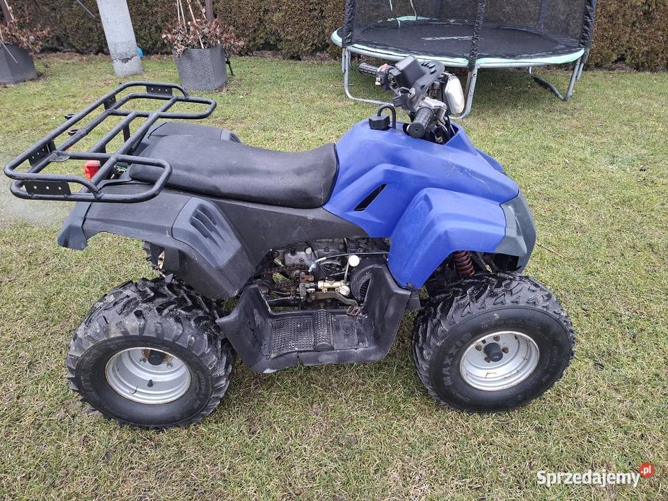 Quad 150 Bashan Łąka