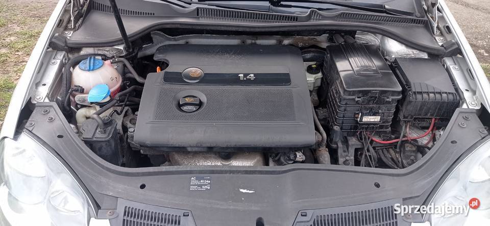 Volkswagen Golf 5 w stanie Nysa
