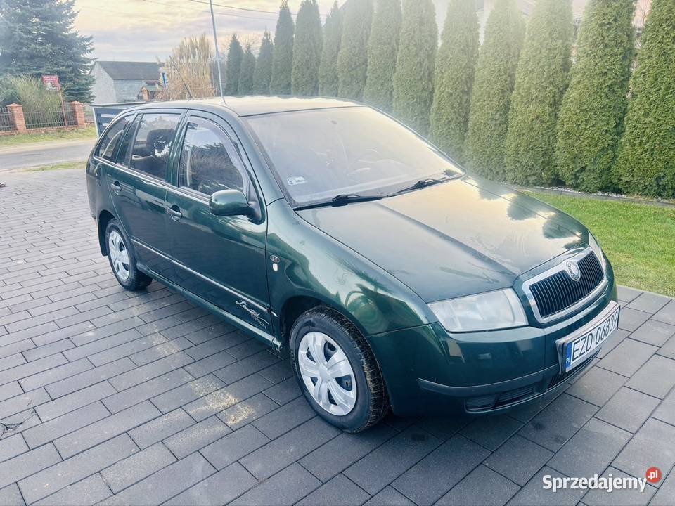 Skoda Fabia 14MPI 2003r przegląd i OC na 246112km Rzechta