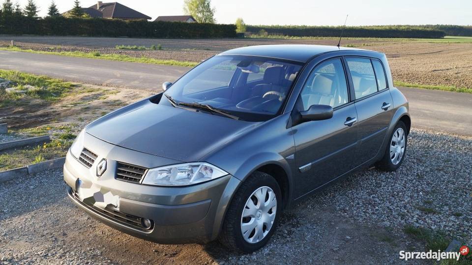 Renault Megane 19 dci Luxe Privilege Hatchback Konin