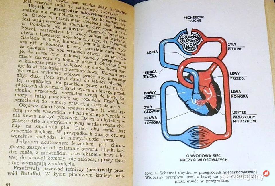 Serce i jego choroby Maria Hoffman Chełm