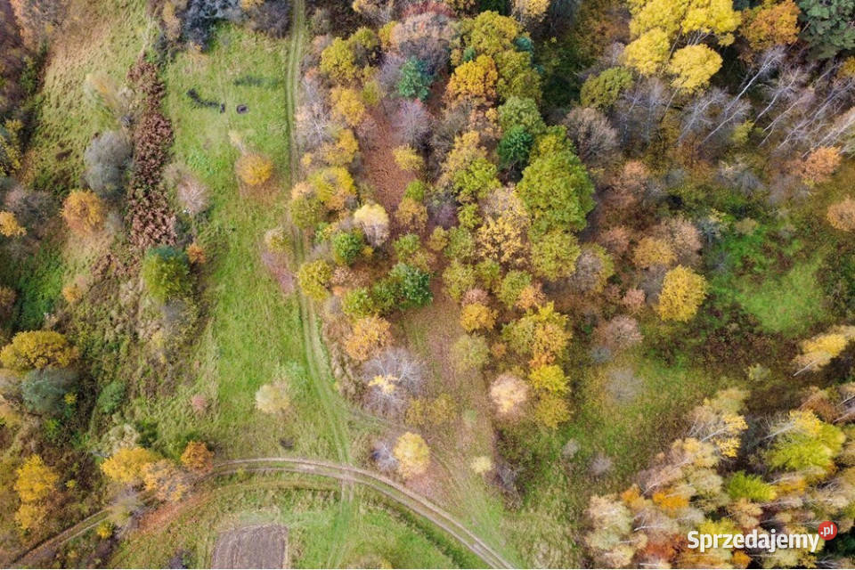 Działka leśna 862 m w Oczkowie śląskie Żywiec