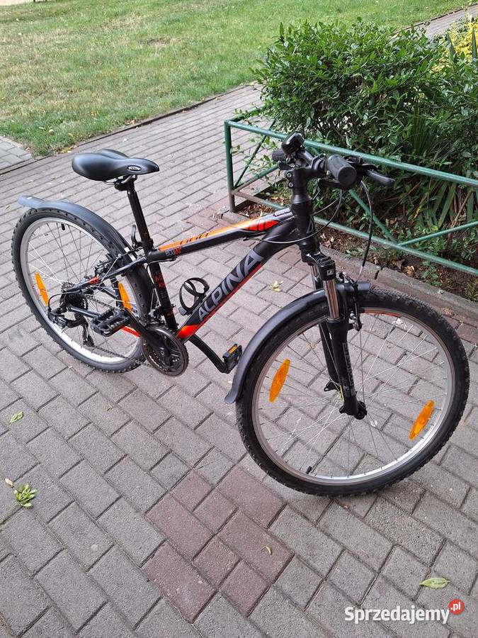 Rower Alpina 26