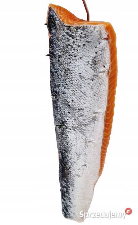 Hak Wędzarniczy Super Smoke do dużych filetów Białystok