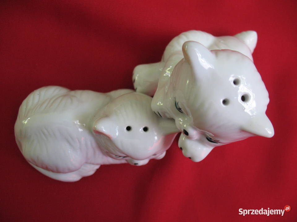 Sól i pieprz Kotki Solniczka i pieprzniczka Siedlce