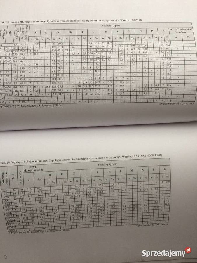3260 Szczecin We Wczesnym Średniowieczu Część Antykwariat