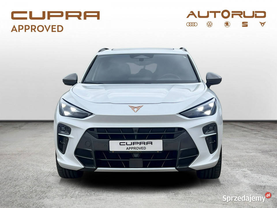 Cupra Terramar VZ 20TSI 265 DSG 4X4 2025 Kielce sprzedam