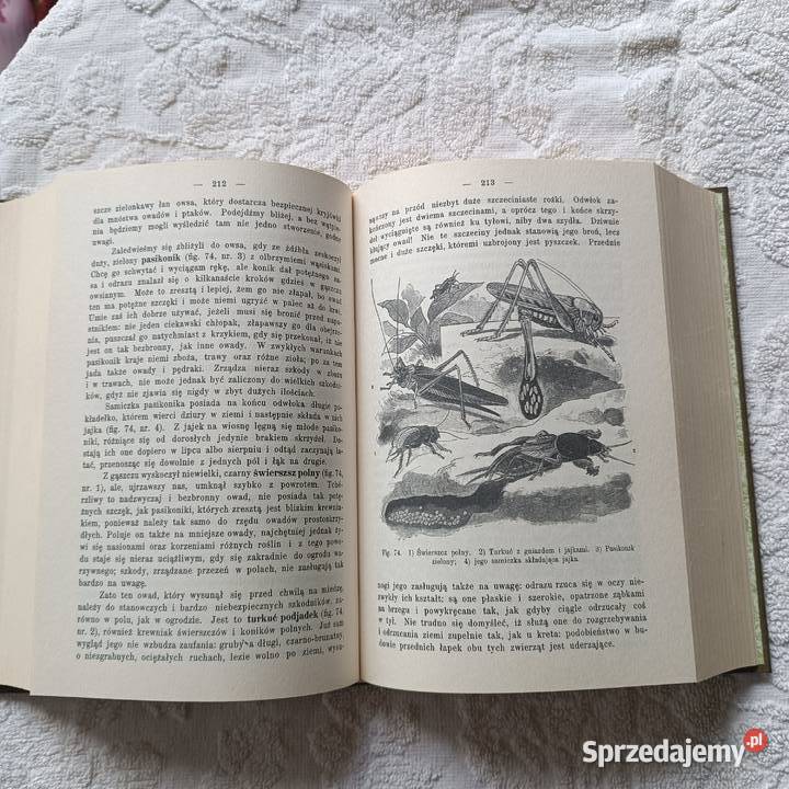 Bohdan Dyakowski Z naszej przyrody Katowice