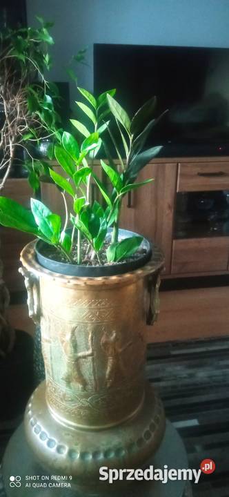 Donica mosiężna stojąca wysoka Pozostałe Białystok sprzedam