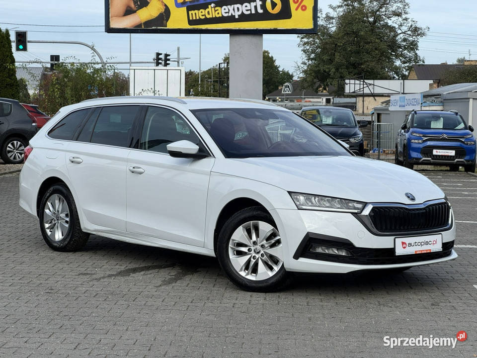 koda Octavia Octavia Suchy Las