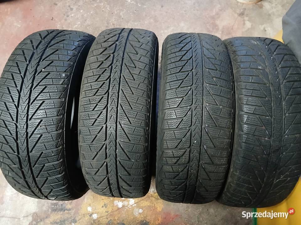 Opony zimowe DębicaPaxaroViking Iłża
