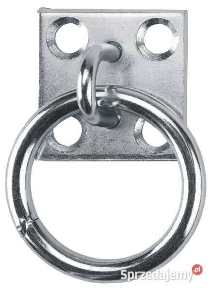 Pierścień do wiązania ocynkowany 169632163 małopolskie Kamionna