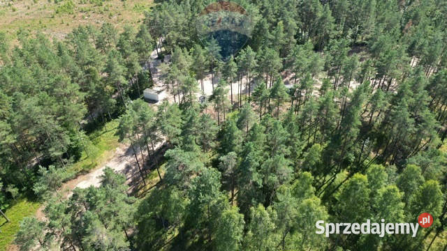 Działki rekreacyjne jeziorem Skorzewo