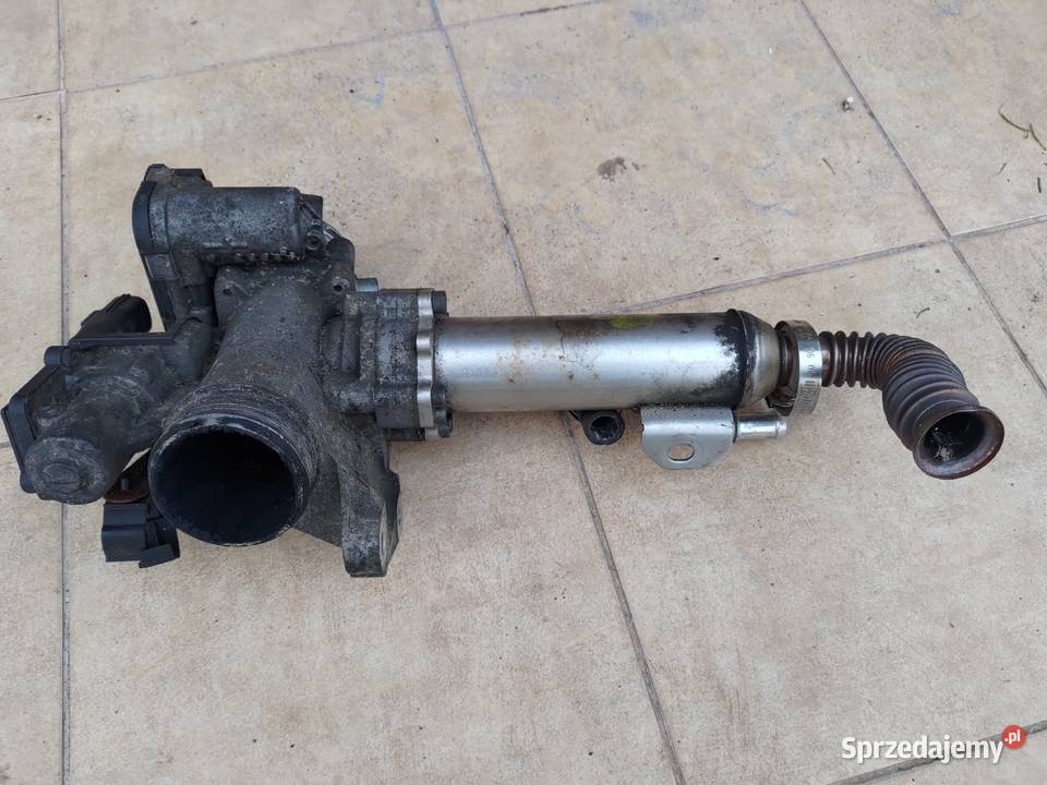 EGR i chłodniczka spalin do Volvo 24 D5 185 Błonie