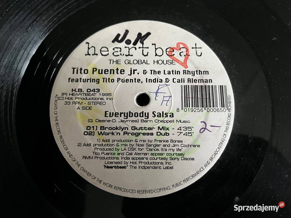 Tito Puente Jr The Latin Rhythm Everybody Salsa 1 płyta Płyty i kasety