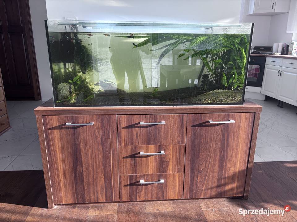 Akwarium 240L zestaw Akwarystyka Bydgoszcz
