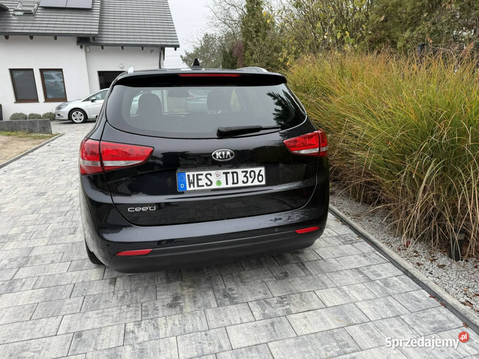 Kia Ceed Zadbana bezwypadkowa przepiękny perłowy nieuszkodzony Poznań