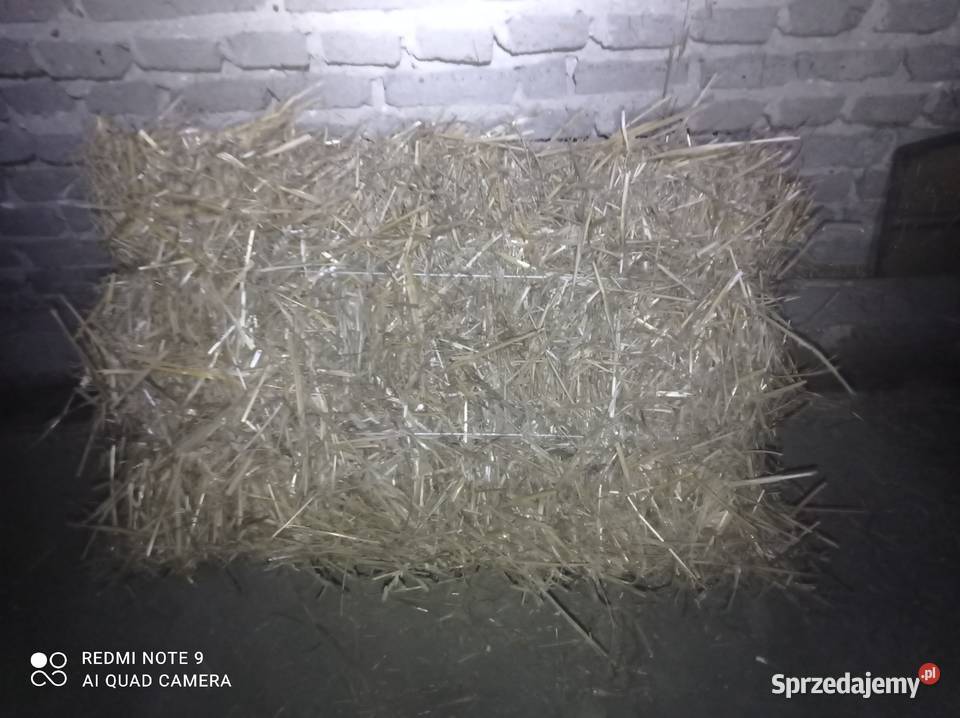 Sprzedam słomę w kostkach Karmy i pasze wielkopolskie Pobiedziska