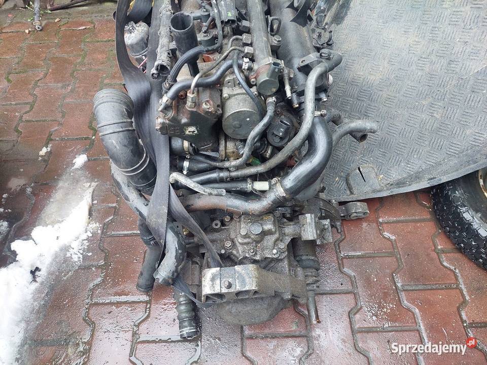 Silnik Kompletny Fiat Panda 13jTd 51kW Rok produkcji 2008