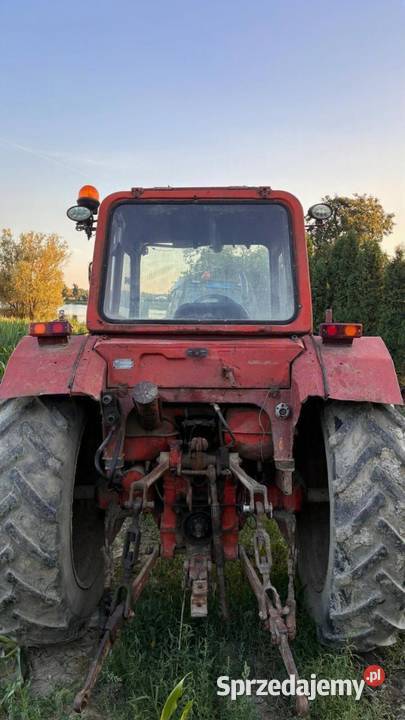 MTZ 82 MTZ Chełmżyca