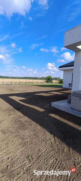 Regeneracja trawników systemy nawadniające mazowieckie Czarna