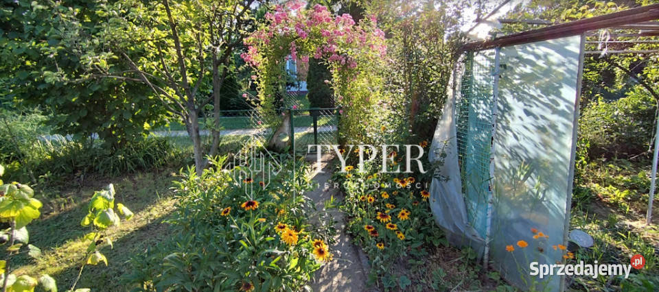 Działka ROD z domkiem o powierzchni 35 m 25 ar Tarnów