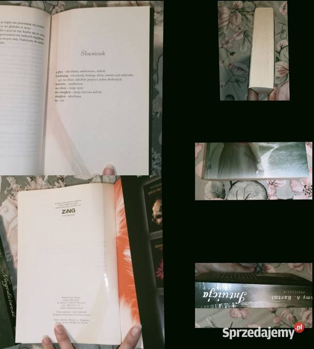 Książki cała seriaPrzeczucia Amy ABartol15 Stan Andrychów