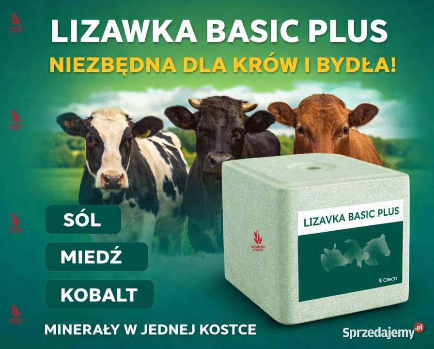 Lizawka solna zielona bydłokrowy CIECH lizaki Karmy i pasze Malbork