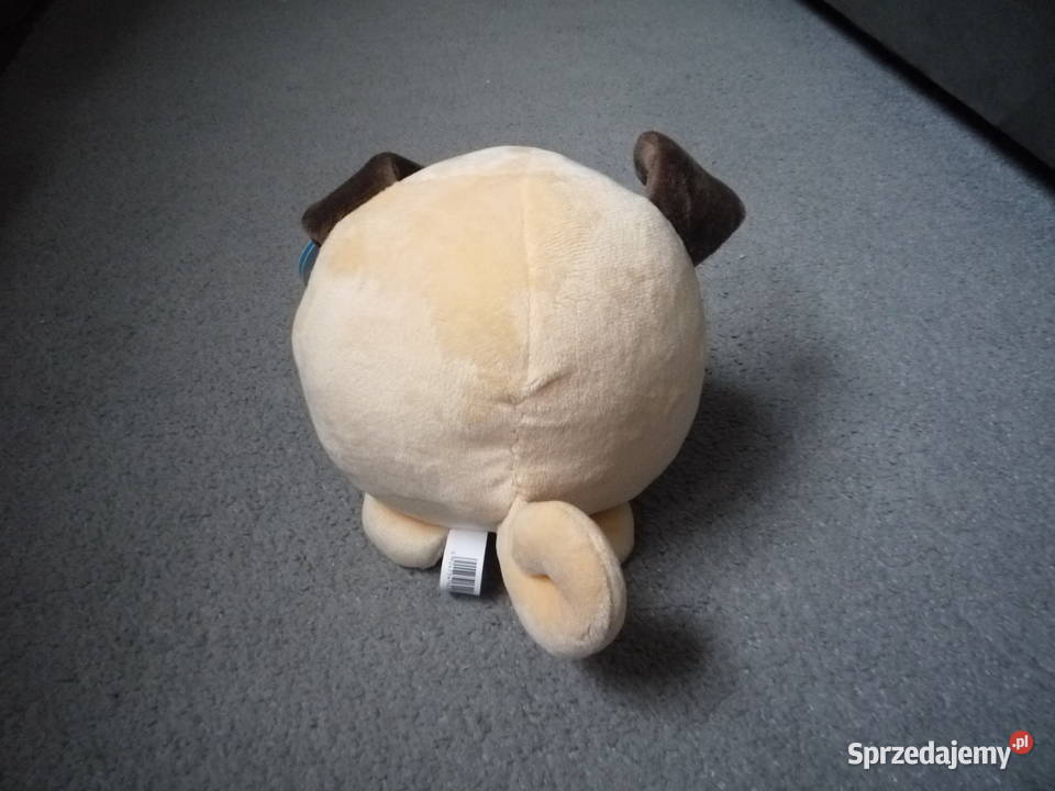 Gang bystrzaków pies Dżipies Maskotka z Szczecin