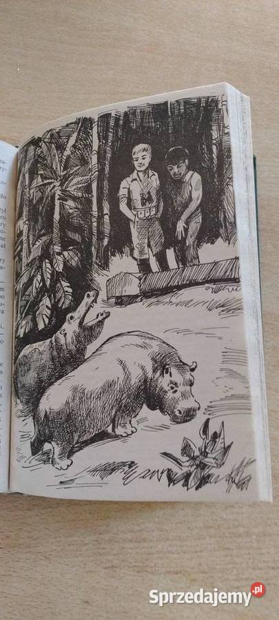 Przygody Tomka na czarnym Lądzie Tom drugi sprzedam