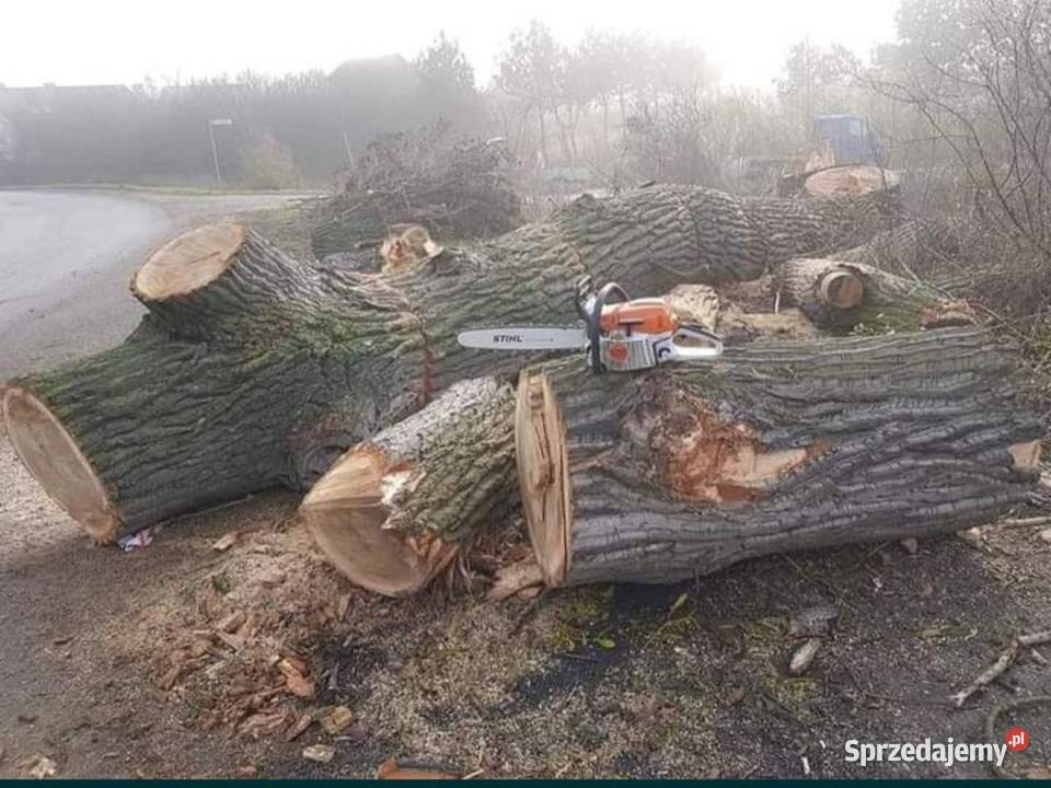 Wycinka karczowanie nawadnianie zakładanie