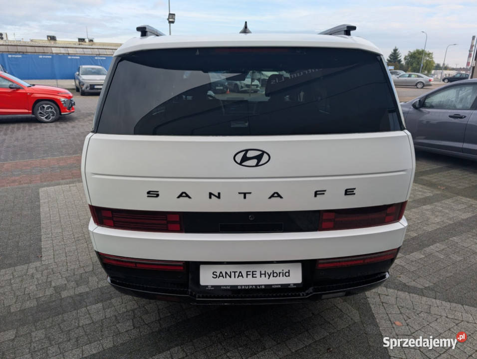 Caligraphy 16 TGDI HEV 6AT 4WD 6os Creamy White biały Kalisz sprzedam