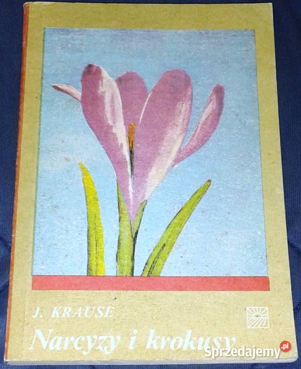 Narcyzy i krokusy Joanna Krause Chełm