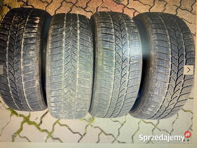 Opony zimowe 2055516 205