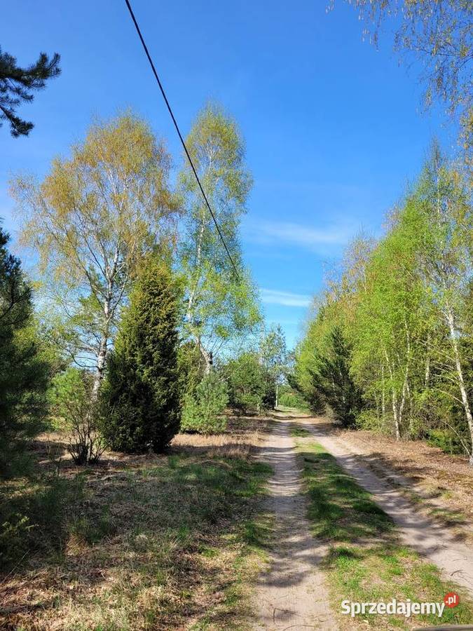 Wrota MAZUR PRĄD na działce SZCZYTNO 700m2